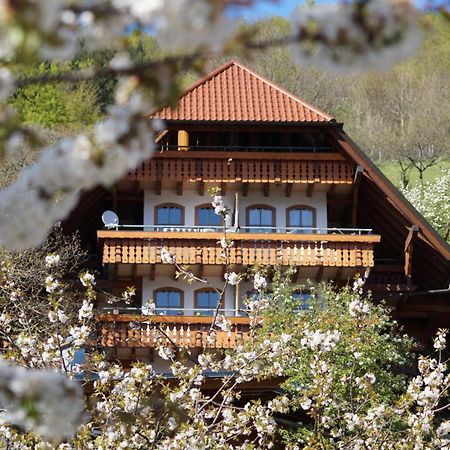 Kurparkhotel Faisst 바트 페테르스탈-그리스바흐 외부 사진